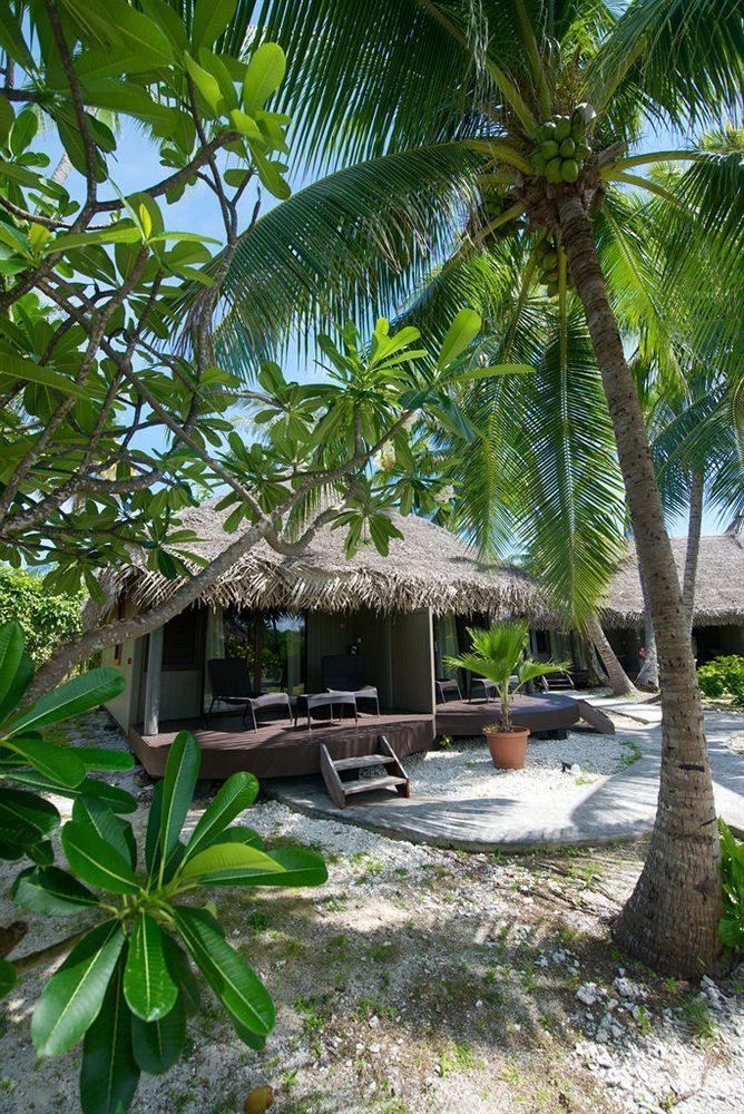 Le Maitai Rangiroa Hotel Avatoru Eksteriør billede